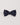 Papillon blu 